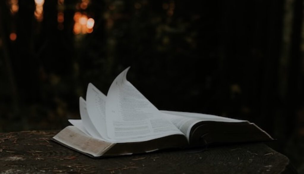 Die Bibel – nur ausgedacht?