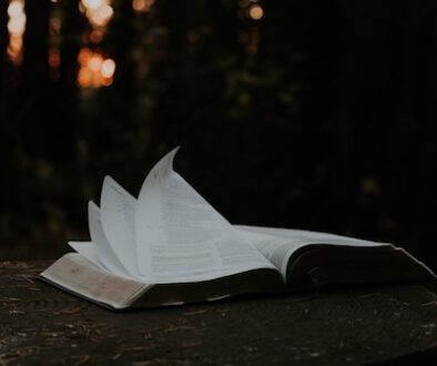 Die Bibel – nur ausgedacht?