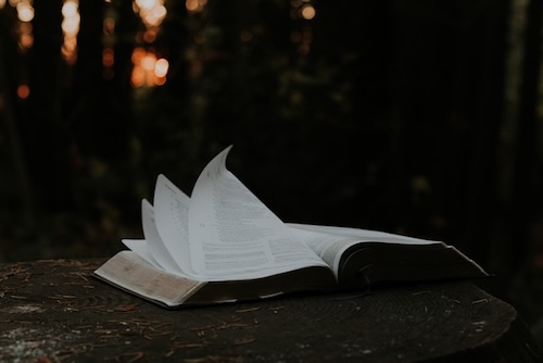 Die Bibel – nur ausgedacht?