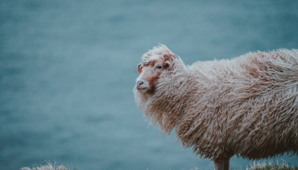 Wenn Glaube Angst macht …