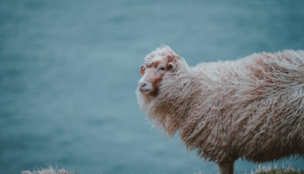Wenn Glaube Angst macht …