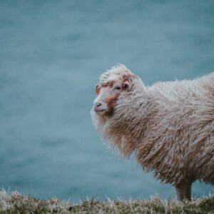 Wenn Glaube Angst macht …