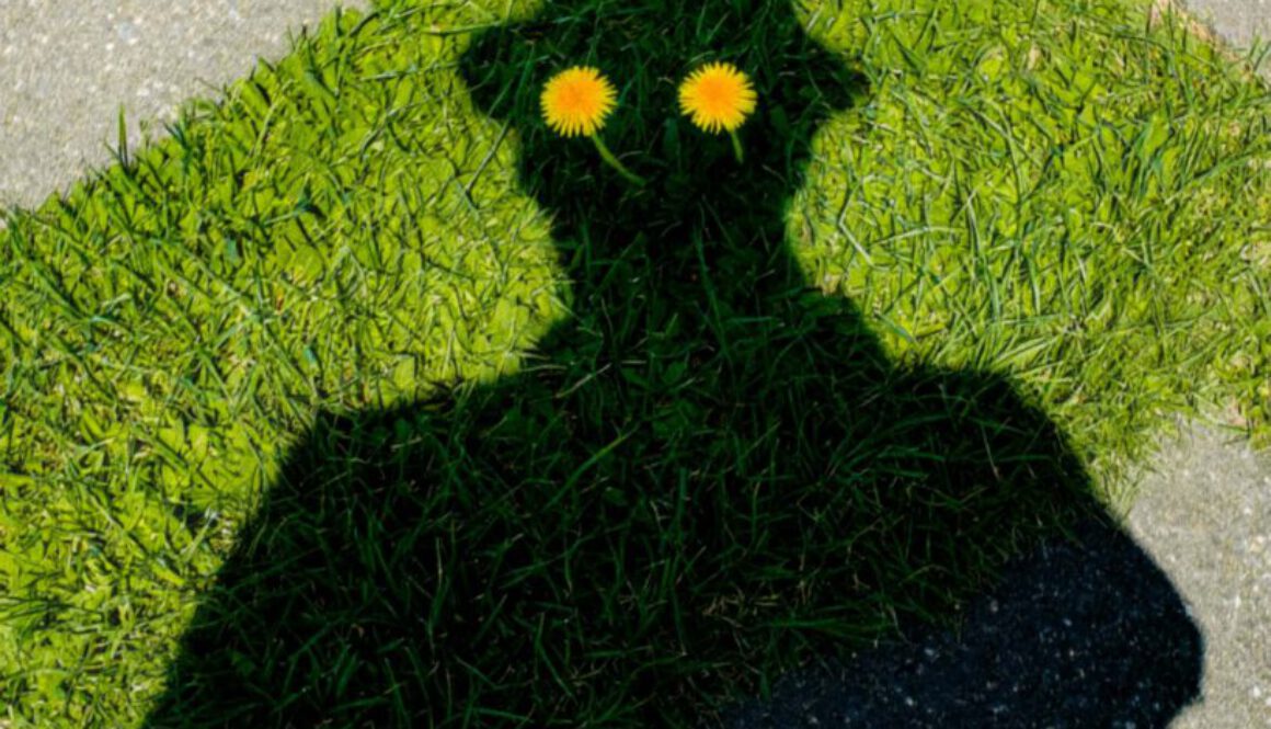Sei kein Schatten Deiner selbst …