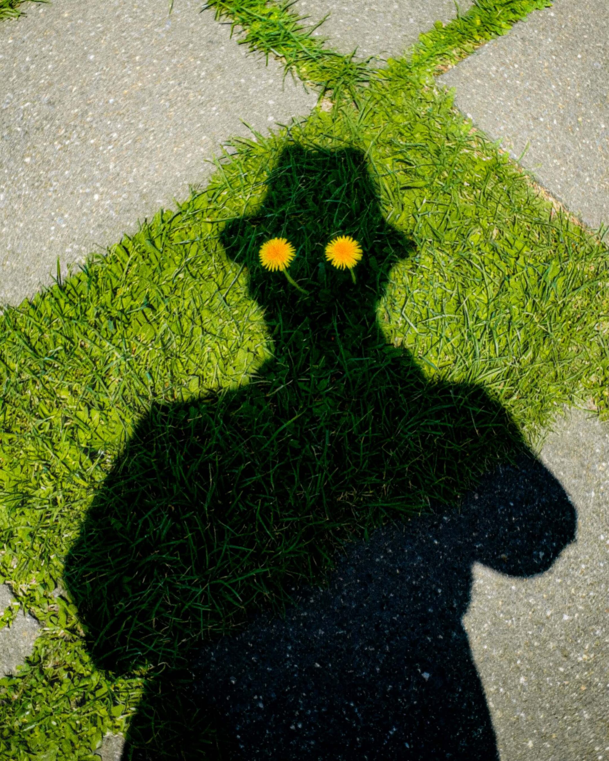 Sei kein Schatten Deiner selbst …