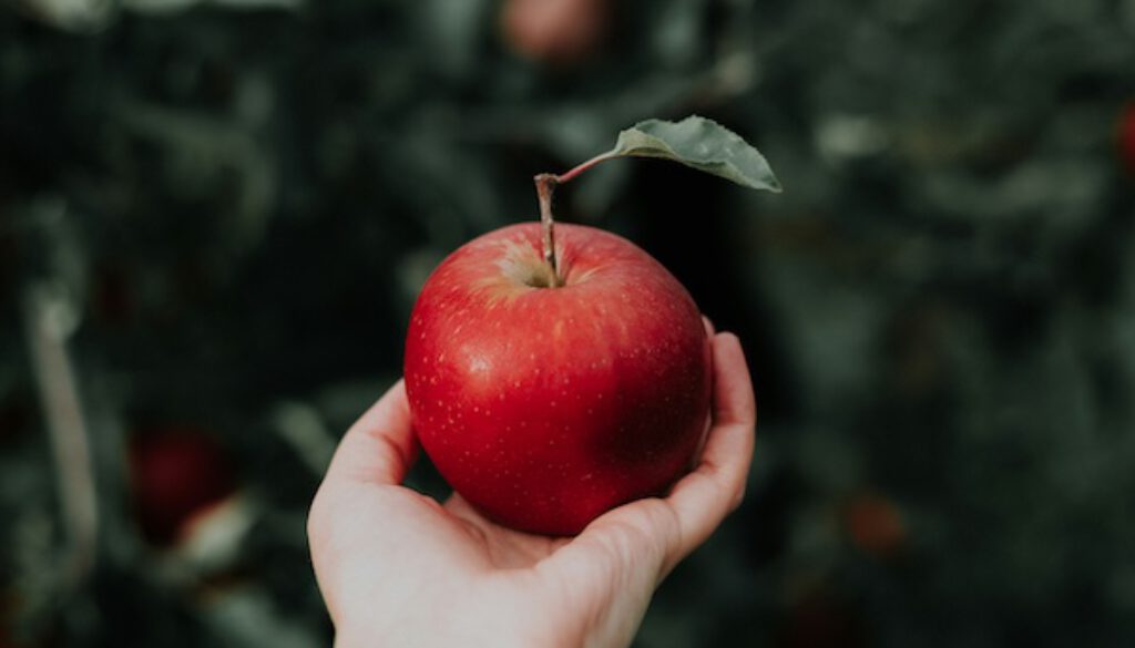 Der Apfel im Garten der anderen …