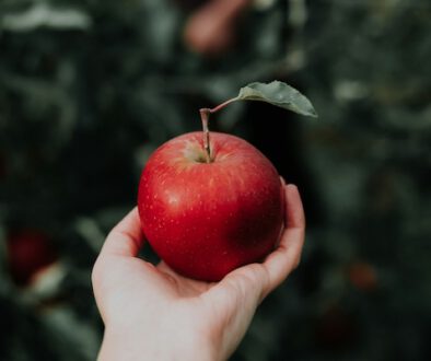 Der Apfel im Garten der anderen …