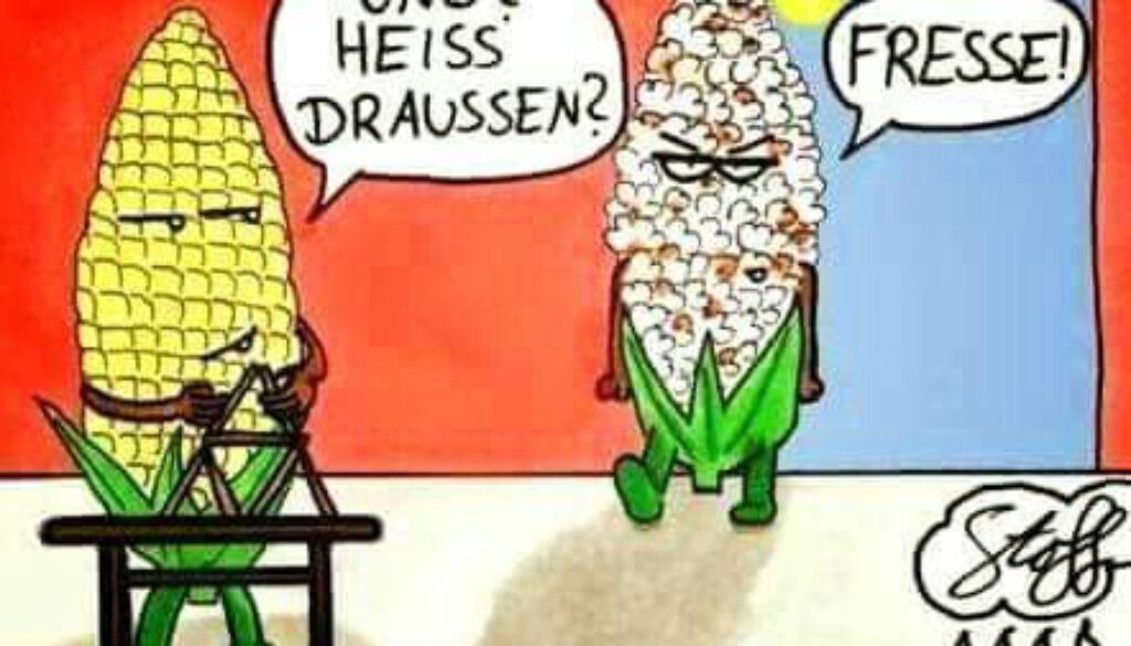 Sommer, Sonne, Klimawandel?