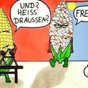 Sommer, Sonne, Klimawandel?