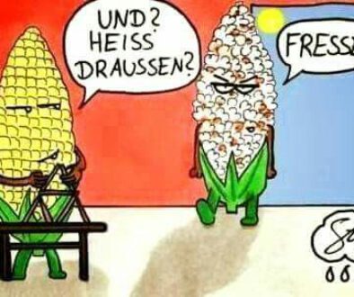 Sommer, Sonne, Klimawandel?