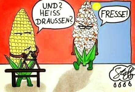 Sommer, Sonne, Klimawandel?
