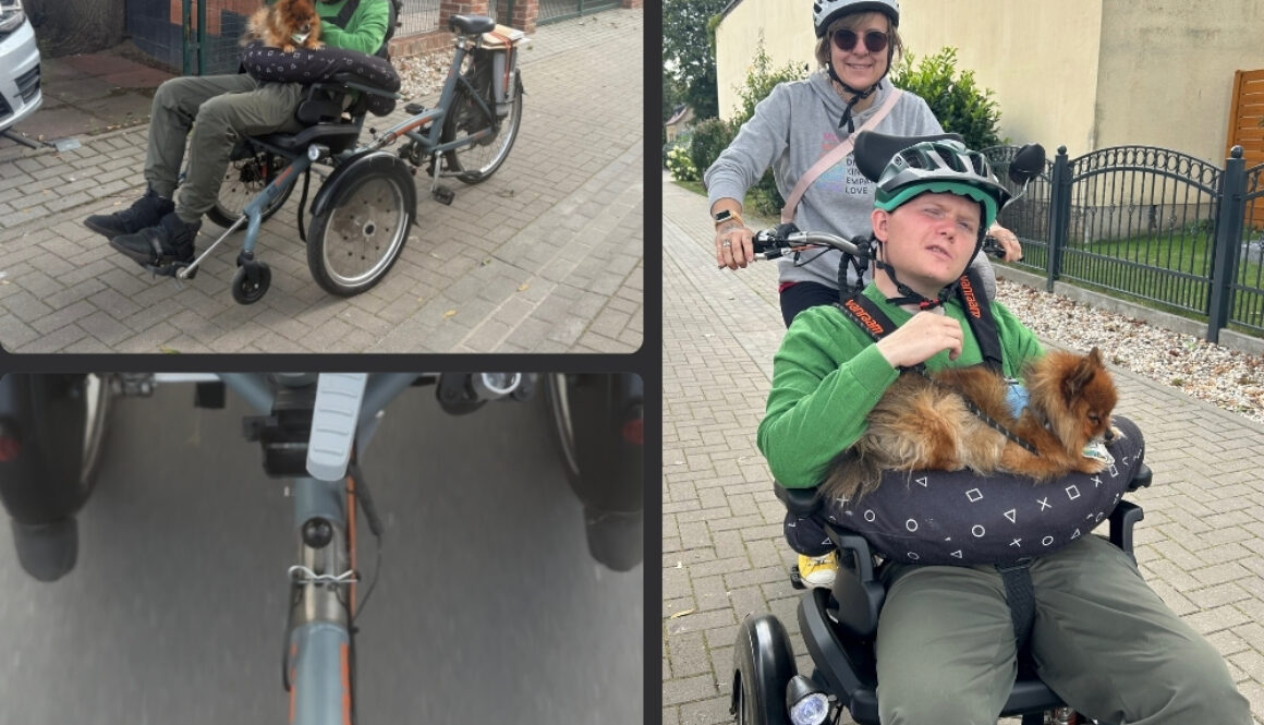 Das geknickte Schilfrohr …