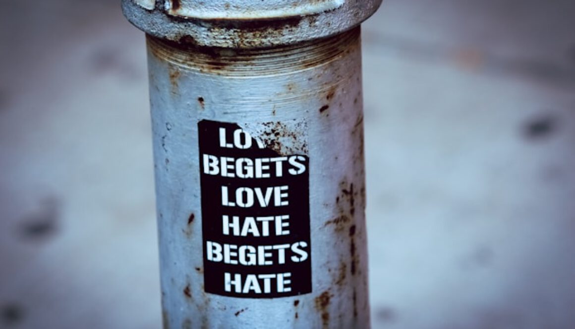 Frieden ist Leben