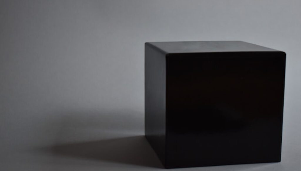 Blackbox – das Unsichtbare zwischen uns