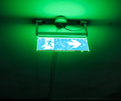 Der Tag, an dem niemand starb