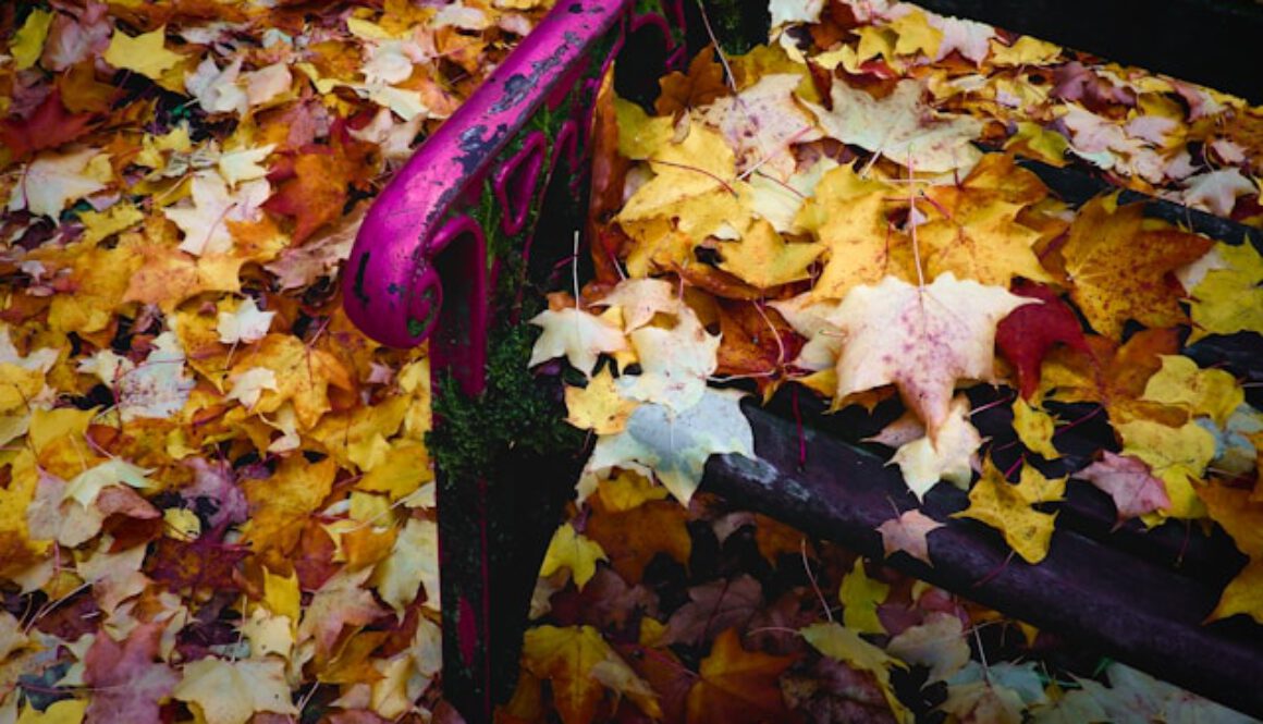 Winterruhe is coming