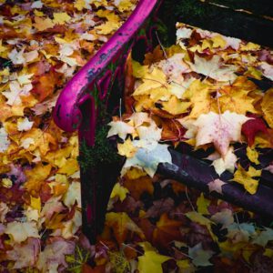 Winterruhe is coming