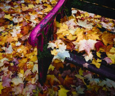 Winterruhe is coming