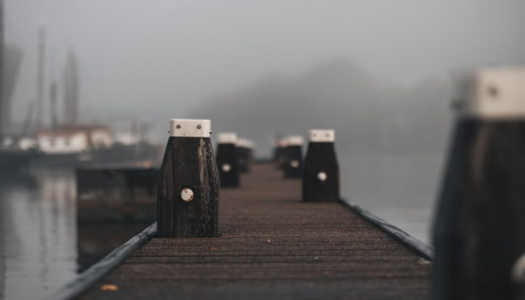 Die Stärke der Sanftmütigen