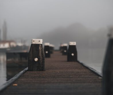 Die Stärke der Sanftmütigen