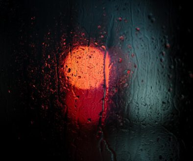 Liebe ist kein Kollateralschaden